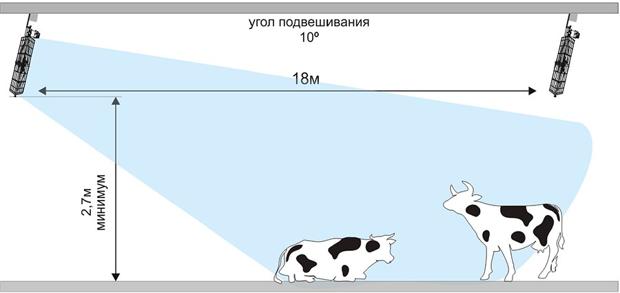 БАСКЕТ-AGR_пример использования.jpg